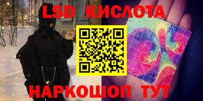 стафф Новодвинск