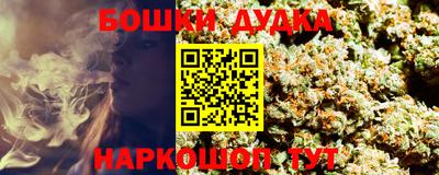 сатива Новокубанск