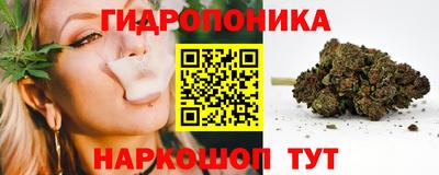 сатива Новокубанск