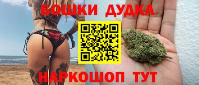 стафф Новодвинск