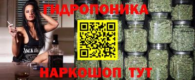 дживик Новозыбков