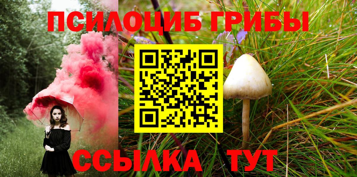 цены наркотик  Псилоцибиновые грибы Psilocybe  Вход с VPN  Туапсе 